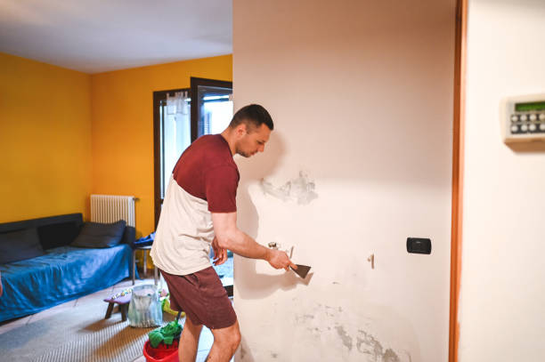 Best Crawl Space Mold Removal  in Lightstreet, PA